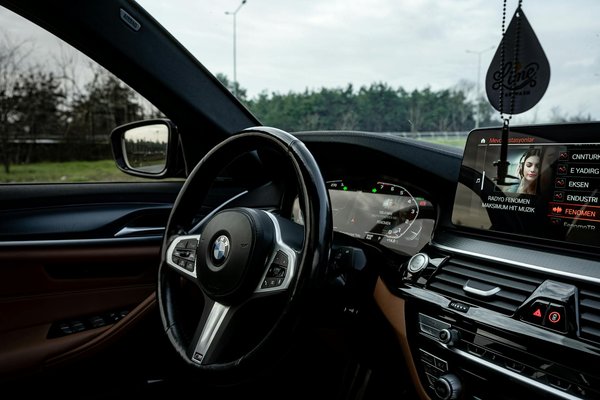 Optimale Ernährung für einen gesunden Darm: So unterstützen Sie die Verdauung Ihres Papageis!